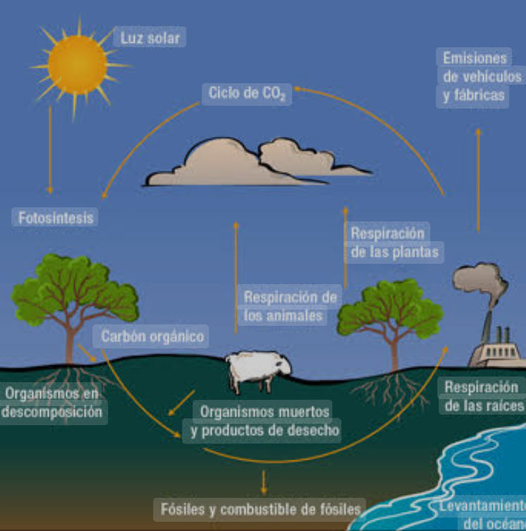 El Sol como fuente principal de energía y salud para la vida.