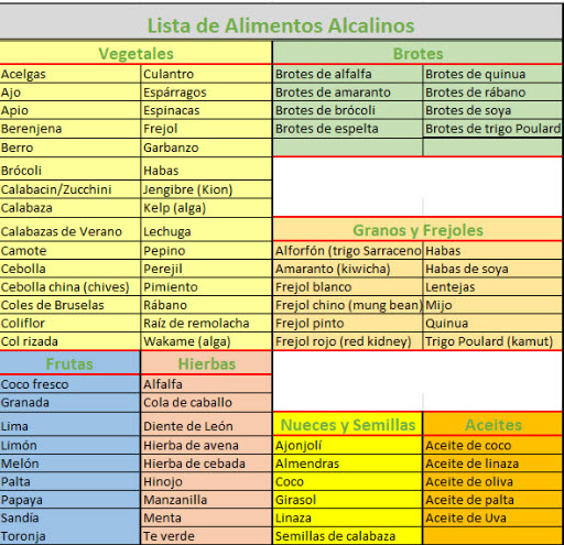 En el contexto de las terapias energéticas como la Biorresonancia, una dieta equilibrada nutre tus células y las prepara para una respuesta más eficaz y armónica.